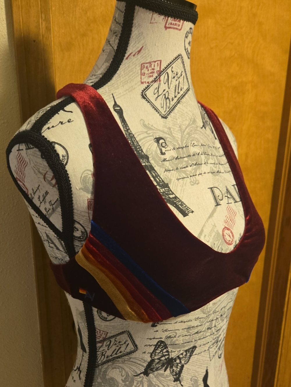 Aviator Nation Burgundy Velvet Rainbow Stripe Sports Bra 13" Band